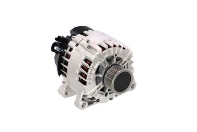 GENERATOR / ALTERNATOR REMANTE 011003000825R 55