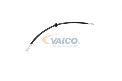 FURTUN FRANA VAICO V201909 55