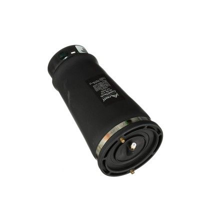 LUFTFEDER FAHRWERK Arnott A2202 68