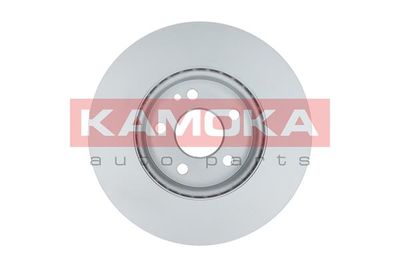 Brake Disc 1031114