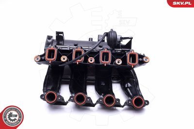 Intake Manifold Module 49SKV017