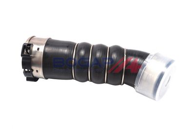 FURTUN EAR SUPRAALIMENTARE