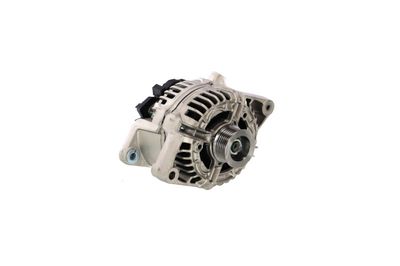 GENERATOR / ALTERNATOR REMANTE 011003000006R 64