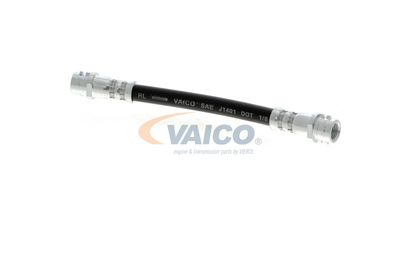 FURTUN FRANA VAICO V104114 5