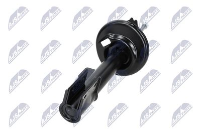 AMORTIZOR NTY ACT018 19