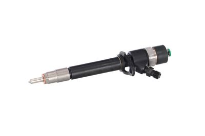 INJECTOR REMANTE 002003000196R 10