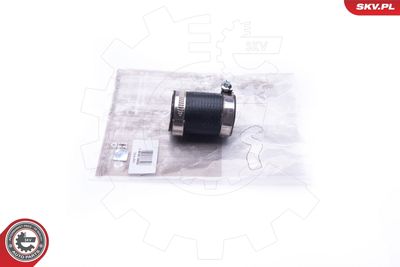 FURTUN EAR SUPRAALIMENTARE