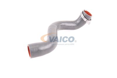 FURTUN EAR SUPRAALIMENTARE VAICO V460823 53