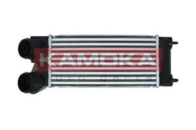 Charge Air Cooler 7750119