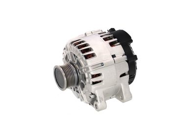 GENERATOR / ALTERNATOR REMANTE 011003000825R 11