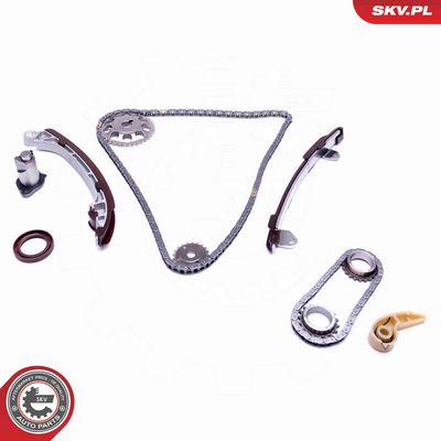 CHIT LANT DE DISTRIBUTIE ESEN SKV 21SKV195 1