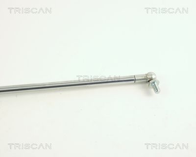 AMORTIZOR PORTBAGAJ KAWE 871068203 2