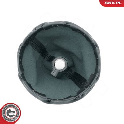 Hlavice řadicí páky ESEN SKV 63SKV486