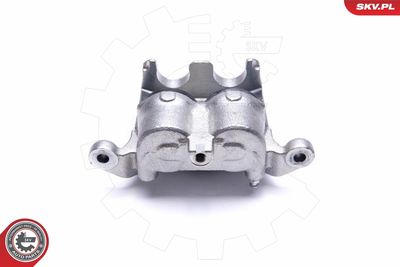 Brake Caliper 55SKV011