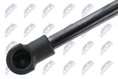 AMORTIZOR CAPOTA NTY AETY066 1