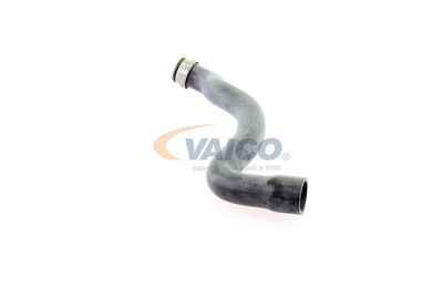 KüHLERSCHLAUCH VAICO V301655 21