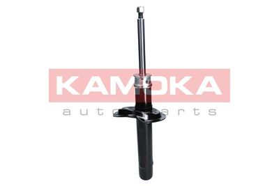 Shock Absorber 2000211