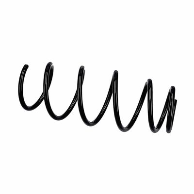 ARC SPIRAL EIBACH R11021 8