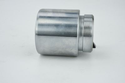 PISTON ETRIER FRANA FEBEST 0176JZX100F 28