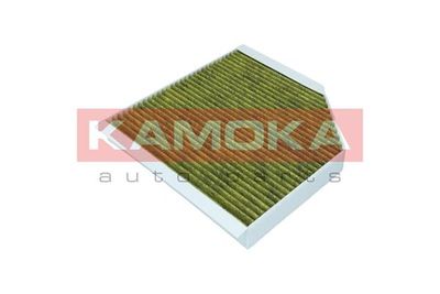 Filter, cabin air 6080066