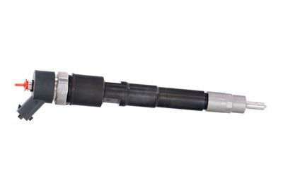 INJECTOR REMANTE 002003000031R 40