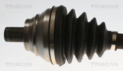 PLANETARA TRISCAN 8540295085 1