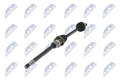 PLANETARA NTY NPWPE124 37