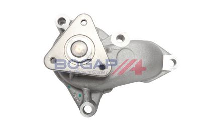 POMPă DE APă RăCIRE MOTOR BOGAP Y4234108 3
