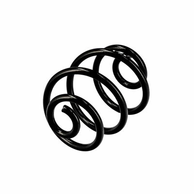 ARC SPIRAL EIBACH R10187 15