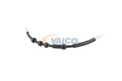 FURTUN FRANA VAICO V104209 27