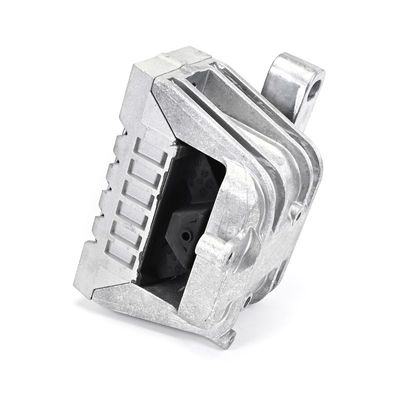 LAGERUNG MOTOR DELPHI TEM273 10