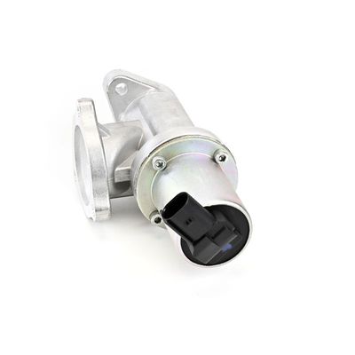 AGR-VENTIL DELPHI EG1044212B1 18