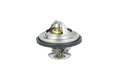 TERMOSTAT LICHID RACIRE NRF 725478 10