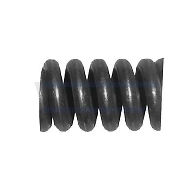 FEDER SCHALLDäMPFER WALKER 86119 1