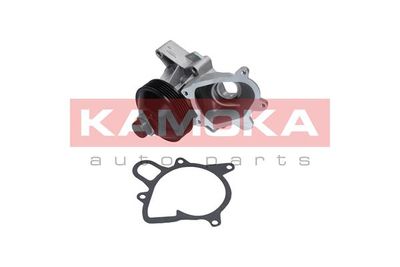 Water Pump, engine cooling T0064