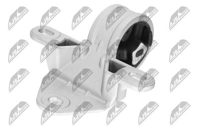 SUPORT MOTOR NTY ZPSCH001 20