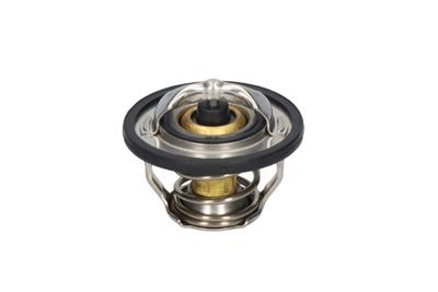 TERMOSTAT LICHID RACIRE