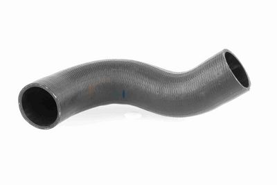 FURTUN EAR SUPRAALIMENTARE ACKOJA A380298 1