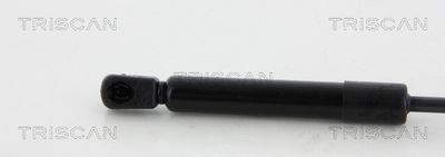 AMORTIZOR PORTBAGAJ KAWE 871050250 1