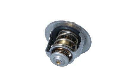 TERMOSTAT LICHID RACIRE NRF 725167 15