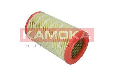 Air Filter F235701