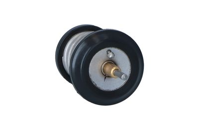 TERMOSTAT LICHID RACIRE NRF 725250 42