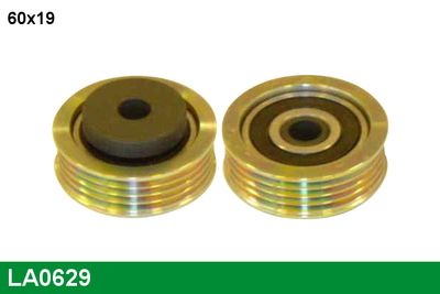 INTINZATOR CUREA CUREA DISTRIBUTIE