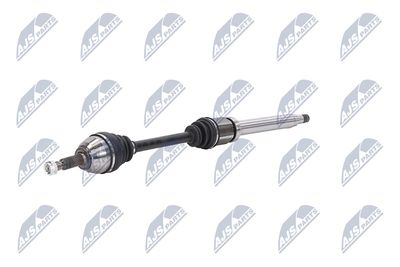 PLANETARA NTY NPWFR056 21