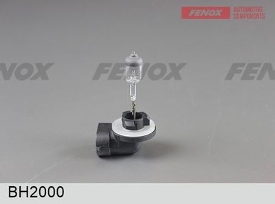 крушка с нагреваема жичка, главни фарове FENOX BH2000