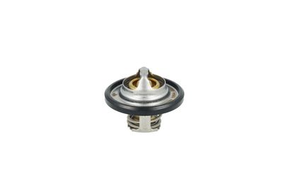 TERMOSTAT LICHID RACIRE NRF 725544 11