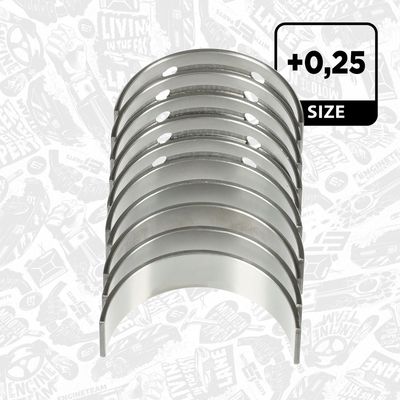 SET RULEMT ARBORE COTIT