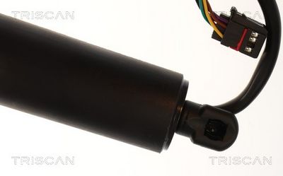 Plynárenská vzpera (pneumatická pružina), zavazadlový priestor TRISCAN 8710 14303
