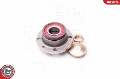 Wheel Bearing Kit 29SKV014