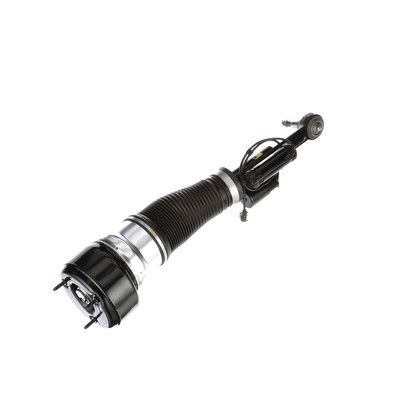 LUFTFEDERBEIN Arnott AS2548 76